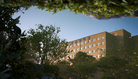 申请韩国庆南大学留学如何规划和准备？