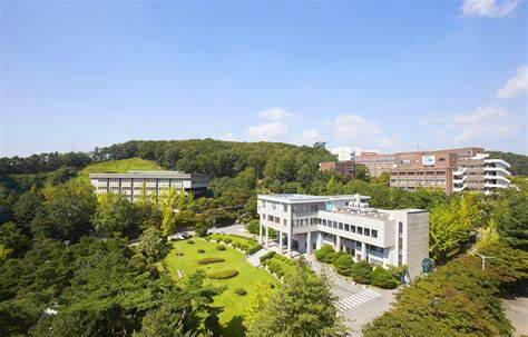韩国江南大学