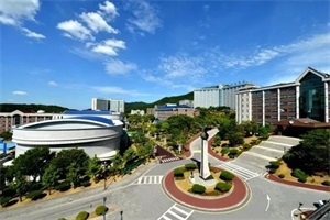 韩国又石大学
