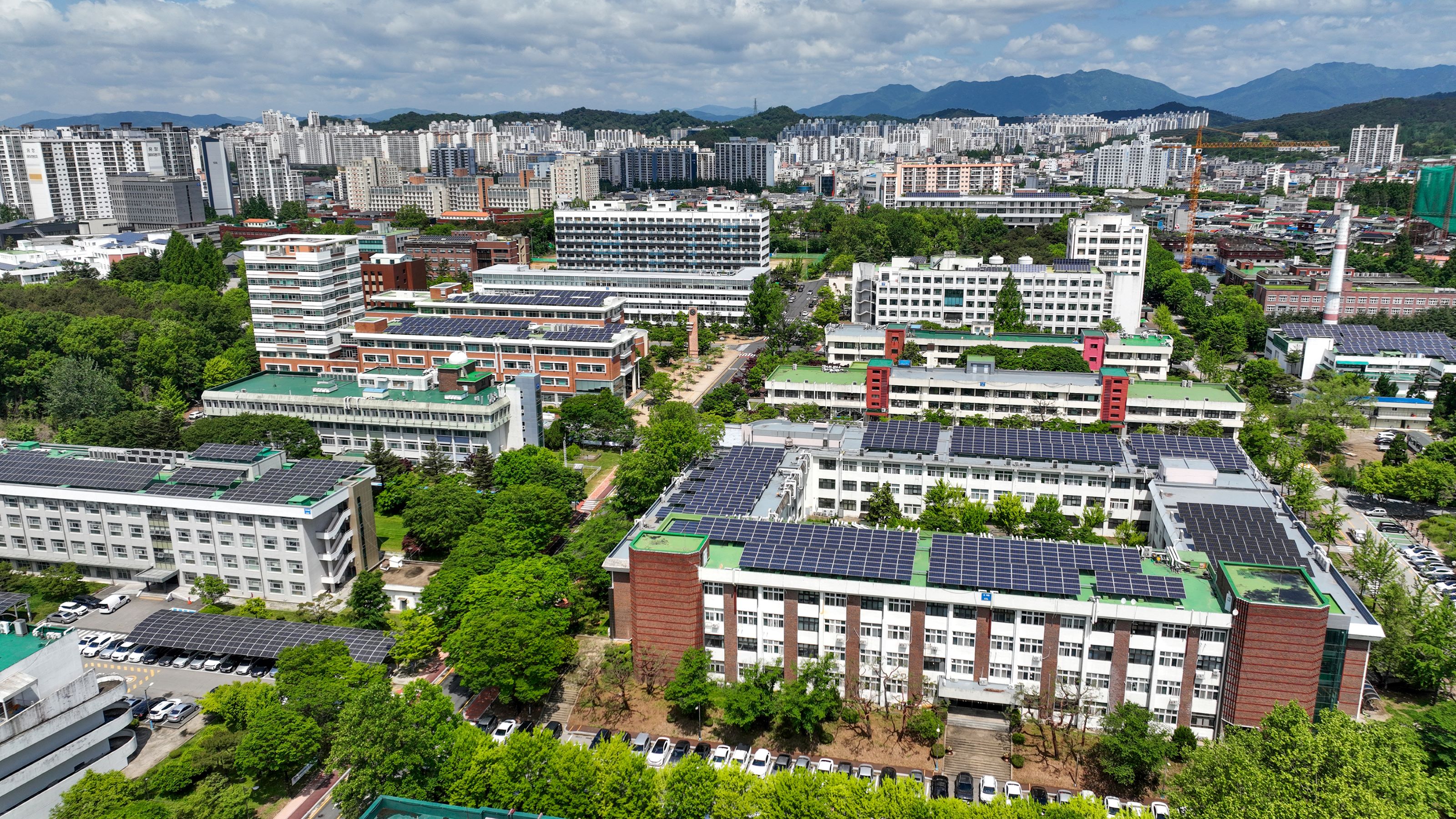 韩国全南大学