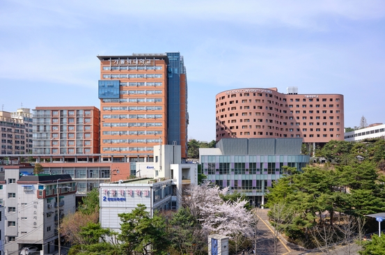 2024年韩国加图立大学本科生最新奖学金政策